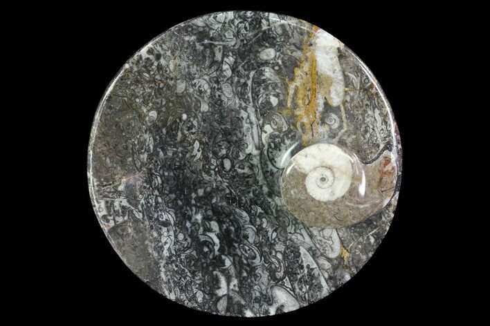 Round Fossil Goniatite Dish #73716